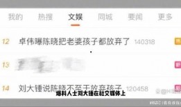 刘大锤最新爆料网页链接,揭秘最新网页链接背后的惊人内幕