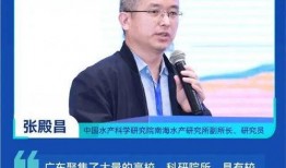 爆料新闻海报模板,独家爆料！新闻海报背后的惊人真相