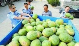 柯桥网红吃瓜群微信,揭秘网络红人的幕后故事