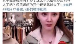 辛巴公司主播爆料事件视频,揭秘背后真相与争议