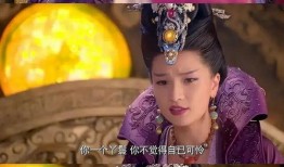 簪星的故事 娱乐爆料,揭秘古代宫廷中的神秘簪饰与宫廷秘闻