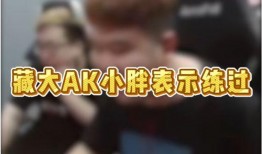 听b哥爆料白鲨视频下载