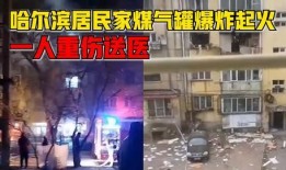 过年网友爆料事件视频完整版,揭秘惊人真相