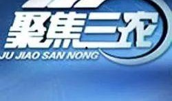 三农联盟爆料新闻视频,最新农业发展动态与政策解读