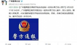 番禺爆料新闻,揭秘番禺最新热点事件