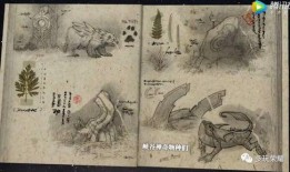 地图爆料视频在线观看,带你领略城市变迁与未来规划