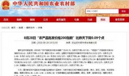 今日菜价爆料新闻视频,蔬菜价格波动，市民生活受影响