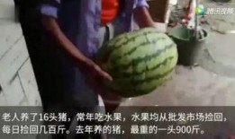 吃瓜三打一视频免费观看,三打一视频带你领略欢乐时光
