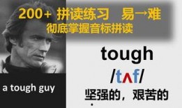 her在线观看,跟随HER在线之旅，揭秘虚拟与现实的交融边界