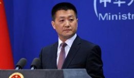 外交部最新爆料新闻视频,揭秘国际事件背后真相