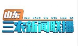 三农联盟爆料新闻视频,最新农业发展动态与政策解读