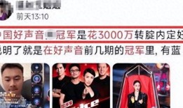 中国好声音观众爆料视频,精彩瞬间回顾，揭秘舞台幕后故事