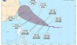 海南台风最新爆料,强风暴雨来袭，多地紧急应对！