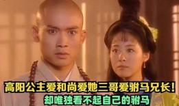 爱和尚在线观看,穿越时空的浪漫邂逅