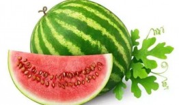 03年吃瓜小网红智淼,从网络红人到时代见证者