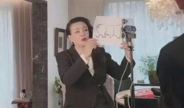 张兰爆料台北房子视频,一场关于房产的爆料之旅