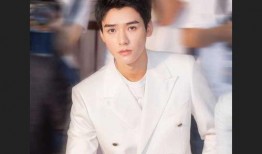 圈内八卦爆料吃瓜肖战,娱乐圈风云再起，神秘八卦揭秘