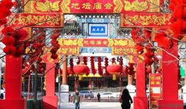 新春园林爆料视频大全集,视频大全集精彩回顾