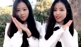 双子姐姐爆料视频大全下载,揭秘幕后故事与精彩瞬间