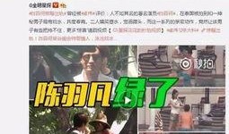 陈公子爆料视频大全最新,揭秘娱乐圈不为人知的秘密