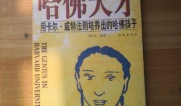 葫芦岛探店爆料视频大全,热门美食攻略大盘点