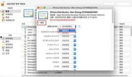 最新密文爆料小程序下载,下载体验与功能解析