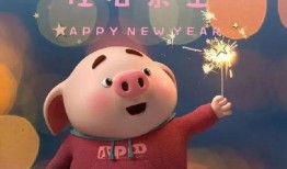 猪哥哥天天爆料视频,揭秘娱乐圈幕后真相