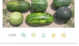 新瓜最新爆料全部