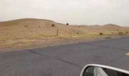 桂林高速爆料事件最新情况,真相大白，多方调查结果揭晓