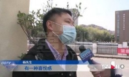 失踪男孩爆料视频大全集,视频大全集深度剖析