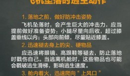 最新动作爆料网站下载,揭秘幕后制作花絮与精彩片段
