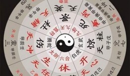 奇门遁甲爆料视频下载大全,爆料视频下载大全汇总