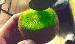 抖音网红瓜都在哪吃,瓜都在哪吃美食之旅