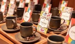 云南咖啡爆料事件视频,揭秘咖啡产业链背后的真相