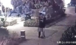 大连爆料吃瓜事件视频曝光,吃瓜视频揭露惊人内幕