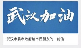 武汉最新爆料照片新闻,街头惊现神秘现象，真相令人震惊！