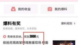 今日头条最新爆料视频,揭秘视频背后的惊人真相！