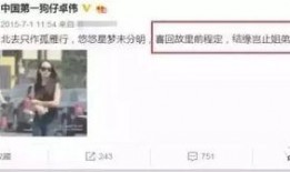 卓伟爆料过宋茜嘛视频,揭秘宋茜神秘视频背后的真相