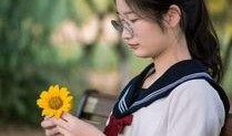 伊人在线观看视,穿越时空的浪漫邂逅