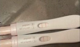 吃瓜抖音网红纹身女,揭秘吃瓜群众的网红生活面纱”