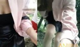 野战在线观看,全景式展现现代战场风云变幻