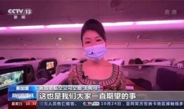 泰航空姐爆料视频在线观看,揭秘航班服务背后的真实故事