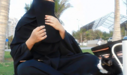 娱乐吃瓜君内增高