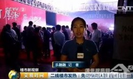 某楼市大佬爆料新闻视频,最新爆料视频深度解析