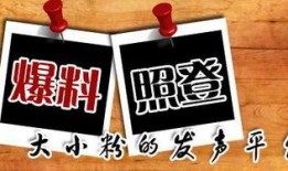 锁味爆料新闻,娱乐圈最新爆料事件深度解析