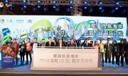 海南卫视爆料浩南新闻,揭秘幕后真相