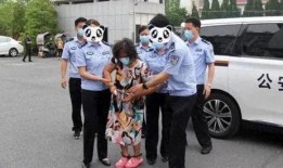 覃晓晓 在线观看,探寻网络世界的魅力与挑战