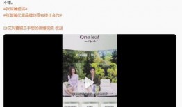 爆料不露脸的视频素材,揭秘不露脸视频背后的秘密