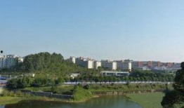 南海狮山爆料最新消息,揭秘神秘事件背后的真相