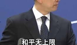 外交部最新爆料新闻视频,揭秘国际事件背后真相